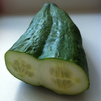 Cucumber